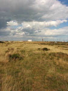 Mound of the platform at Lydd on Sea Halt 13-8-14